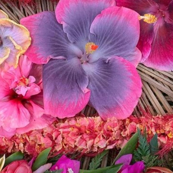 Meet your Posher, May - Picture 1 of 1